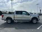 2025 Ford F-150 XLT 4WD SuperCrew Box