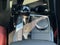 2023 BMW X3 xDrive30i Sports Activity Vehicle